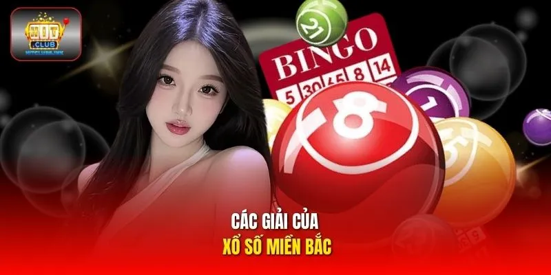 Các giải của xổ số miền Bắc