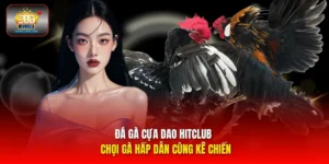 Đá gà cựa dao