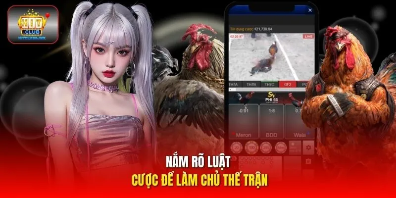 Nắm rõ luật cược để làm chủ thế trận