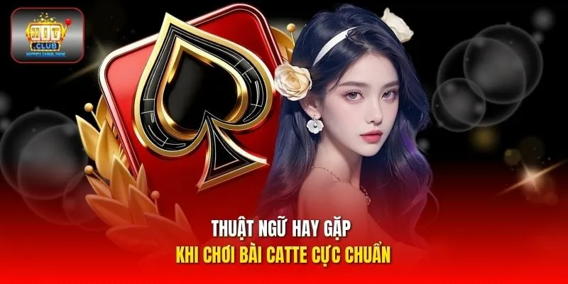 Thuật ngữ hay gặp khi chơi bài Catte cực chuẩn
