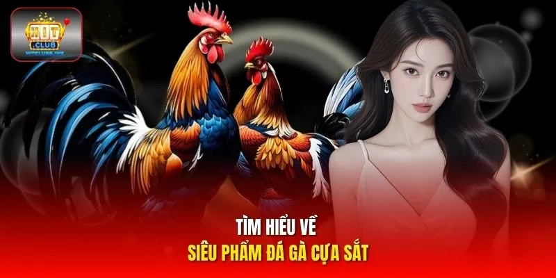 Tìm hiểu về siêu phẩm đá gà cựa sắt